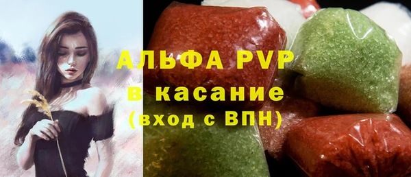 СК Бежецк
